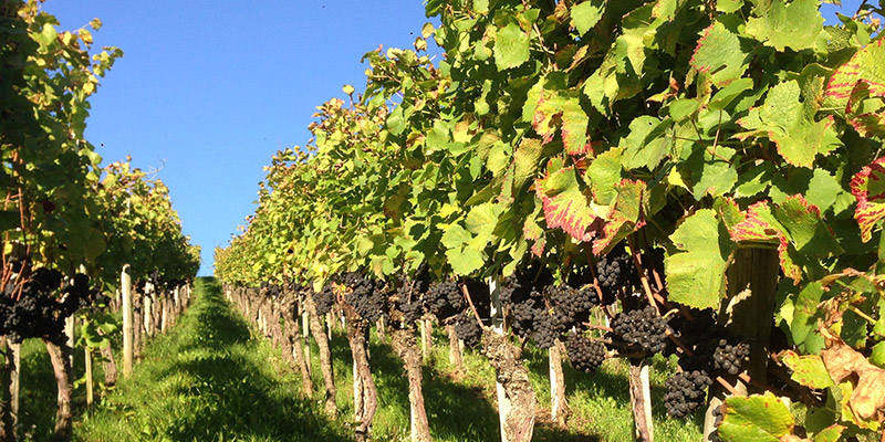  Weinkarte im Gasthaus Engelbert in Hilchenbach